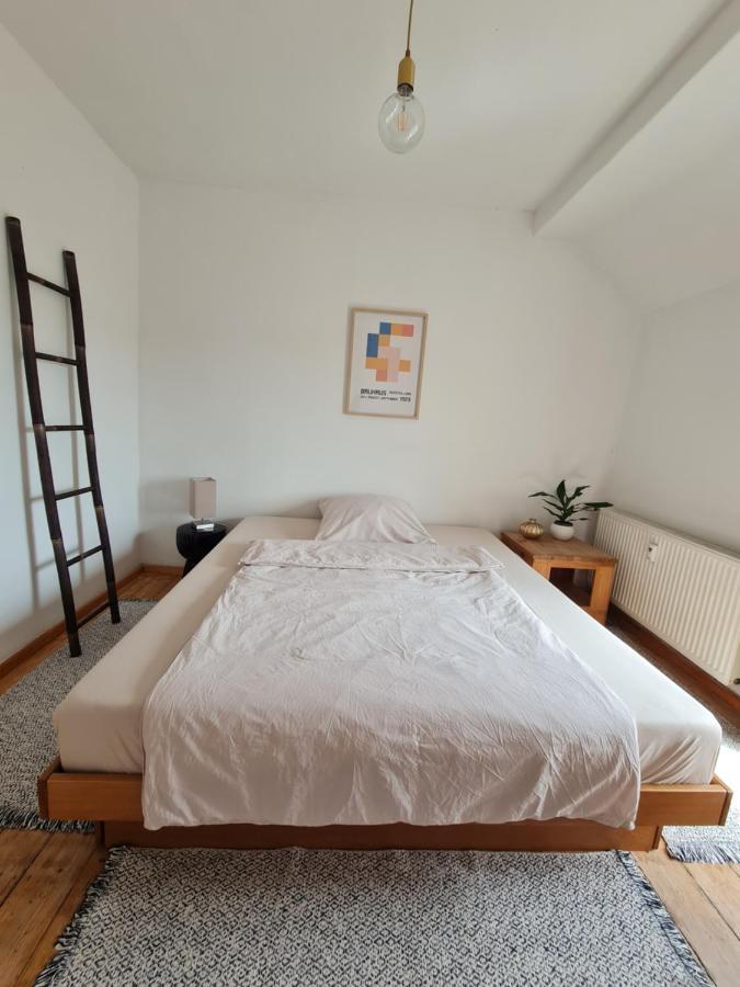 Geschmackvolle Wohnung Im Herzen Von زينتسيغ المظهر الخارجي الصورة